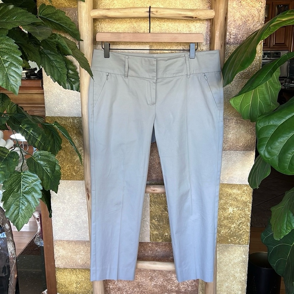 Ann Taylor Women’s Cropped Pleated Skinny Trouser Pants, Size 6